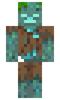 bufotoxin minecraft skin