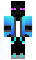 c3a3db243355fc minecraft skin