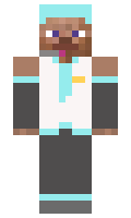 c3c3083a014e36 minecraft skin
