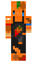 c3d205017fc6ca minecraft skin