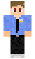 Cidiney minecraft skin