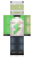 109 minecraft skin