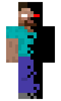 dontignoreit minecraft skin