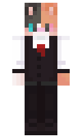 e879 minecraft skin