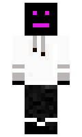 Botisnt minecraft skin