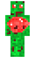 MONTAGOOO minecraft skin