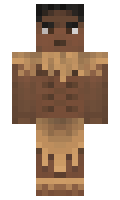 4311 minecraft skin