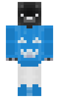 c43a8562a62747 minecraft skin