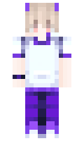 c45233dcc47a67 minecraft skin