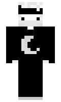 c461dcc2db0291 minecraft skin