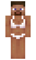 469k minecraft skin