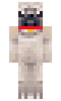 RadiusAlpha minecraft skin