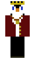 DRSuperPENGUIN minecraft skin