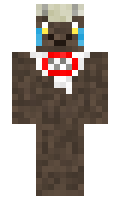 c48ba8fed57286 minecraft skin