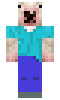 BICLOGAN minecraft skin