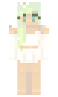 c49479a6361e0d minecraft skin