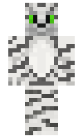 c497b6e1a8d6f4 minecraft skin