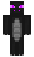 c49e029a22e499 minecraft skin