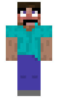 Roge minecraft skin