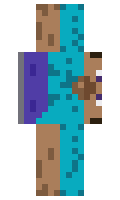 c4d6288d2f224d minecraft skin