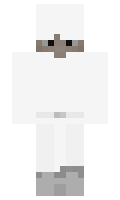 687 minecraft skin