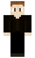 Profluent minecraft skin