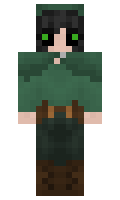 hlspider minecraft skin