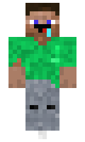 c5042e01316929 minecraft skin