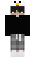 PrismaRitter585 minecraft skin