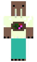 Jonicorn37 minecraft skin