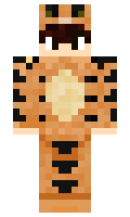 c51b9c816ae81f minecraft skin
