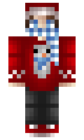 c51dd26276871a minecraft skin