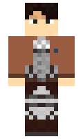 c534edaa6a8995 minecraft skin