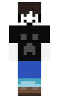 c535b4bf4e9114 minecraft skin