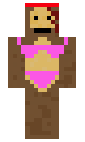 c53c50a0276691 minecraft skin