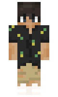 c540aed040af06 minecraft skin