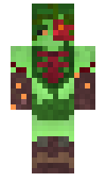 c54d521c034744 minecraft skin