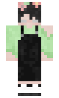 c554c7fa7e333e minecraft skin