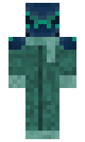 c557ddb3bfb4c8 minecraft skin