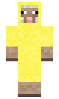 dulphin127 minecraft skin