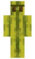 c570652ffc3698 minecraft skin