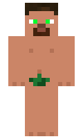 TurtleGaming minecraft skin