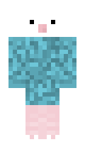 rafonn minecraft skin