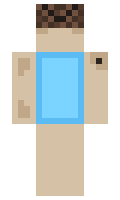 c5accf4ade5384 minecraft skin