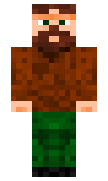 c5b16f4c883d71 minecraft skin