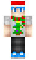 Activation minecraft skin