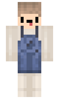 16555 minecraft skin