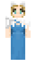 c5e81bbae49e1c minecraft skin