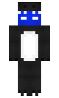 c5e90cfc695e96 minecraft skin