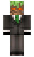 c5f12b61db22a0 minecraft skin